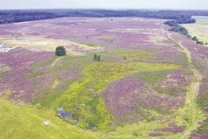 Hondsrug houdt  UNESCO Geopark status