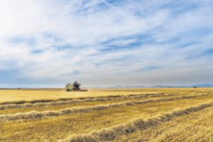 Het aantal boeren in Noord-Nederland daalt